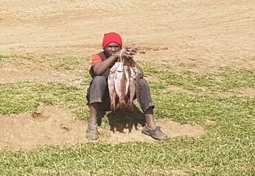 Fischverkäufer - Frische Fische am Straßenrand bei Naivasha