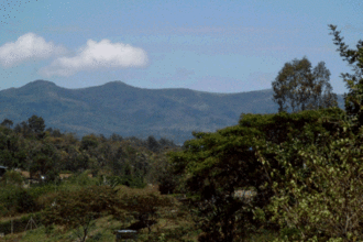 Gartenblick vom Ferienhaus Karen auf die Ngong Hills - Nairobi Kenia